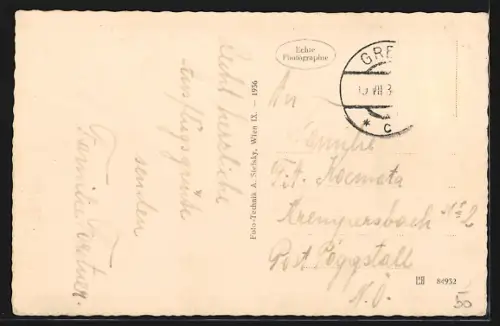 AK Grein a. d. D., Strudengau, Teilansicht mit Donau