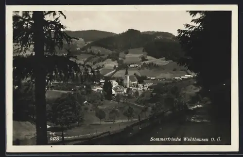 AK Waldhausen, Totalansicht