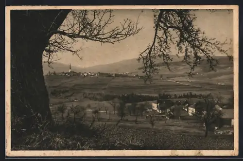 AK Ulrichsberg /O.-Ö., Landschaftspartie mit Ort im Hintergrund