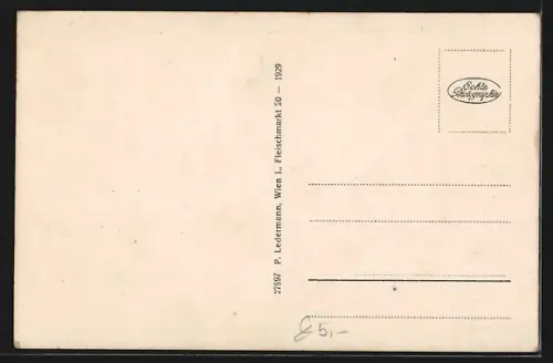 AK Sarmingstein an der Donau, Ortsansicht mit Donaupartie