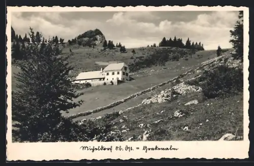 AK Micheldorf /Ob.-Öst., Blick auf die Gradenalm