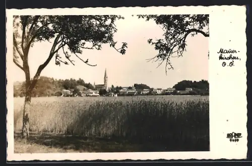 AK Mauerkirchen /O. Ö., Ortspartie mit Kirche