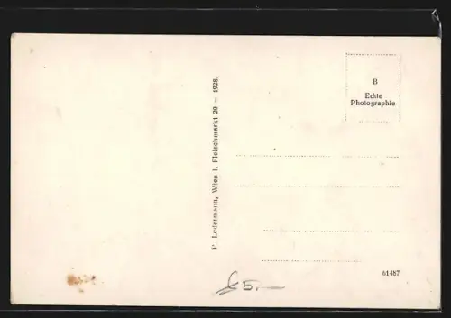 AK St. Nikola a. d. Donau, Teilansicht mit Viadukt