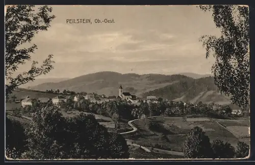 AK Peilstein /Ob.-Oest., Teilansicht mit Kirche