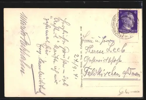 AK Neumarkt im Hausruckkreis, Totalansicht