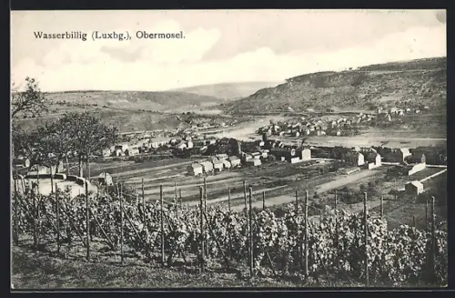 AK Wasserbillig, Obermosel, Gesamtansicht von einerm Weinberg aus