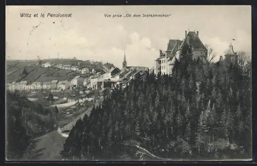 AK Wiltz, Wiltz et le Pensionnat, vue prise Ob dem Stehkämmchen