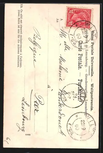 AK Luxemburg, Grossherzoglicher Palast (Vorderansicht), um 1900