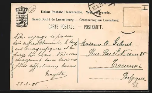 AK Diekirch, Hôtel des Ardennes, vue prise du jardin