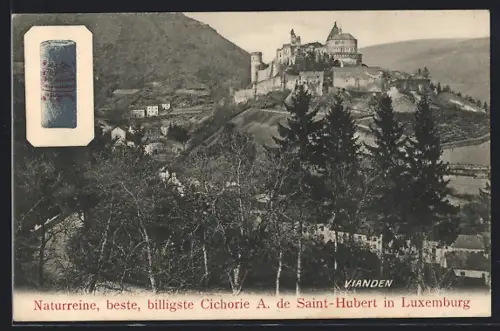 AK Vianden, Ortsansicht mit Schloss, Cichorie von A. de Saint-Hubert