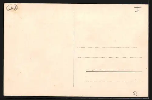 AK Vianden, Ortsansicht mit Schloss, Cichorie von A. de Saint-Hubert