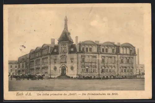AK Esch s. A., Les écoles primaires du Brill