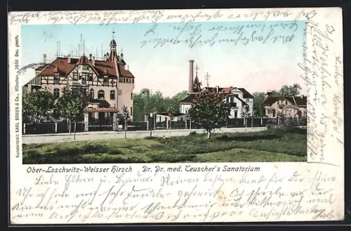 AK Dresden-Loschwitz, Dr. Dr. med. Teuscher`s Sanatorium