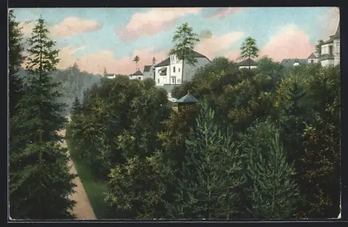 AK Dresden-Klotzsche, Teilansicht mit Nesselgrund