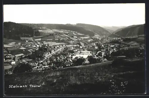 AK Steinach / Thür., Panorama mit Umgebung