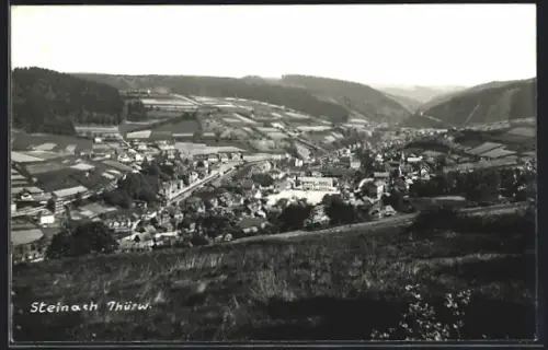AK Steinach / Thür., Gesamtansicht mit Umgebung