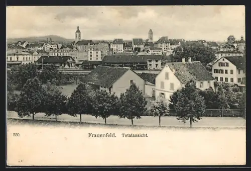 AK Frauenfeld, Totalansicht der Stadt
