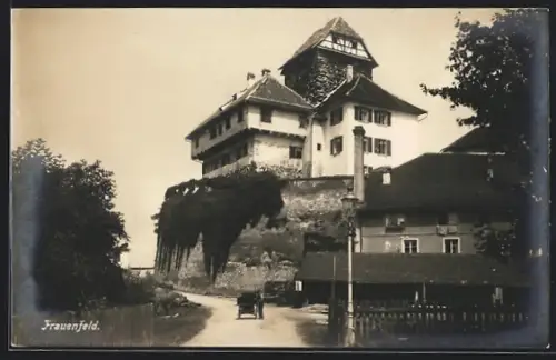 AK Frauenfeld, Blick zum Schloss