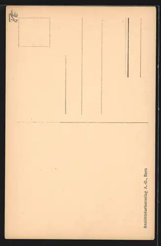 AK Wilderswil-Gsteig, Strassenpartie mit Tor