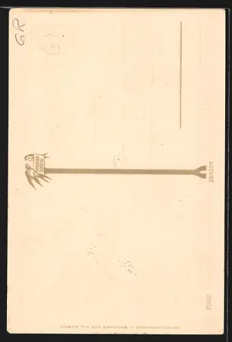 AK Zuoz, Strassenpartie am Tor