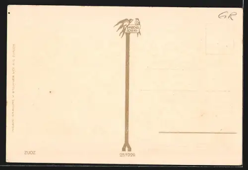 AK Zuoz, Blick auf Häuser des Ortes
