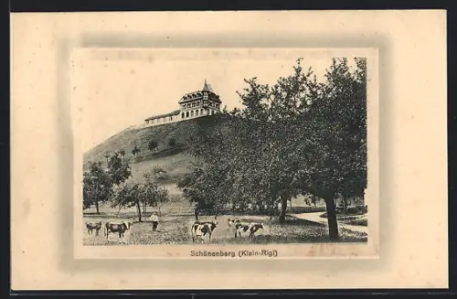 AK Schönenberg /Klein-Rigi, Hotel mit Kühen