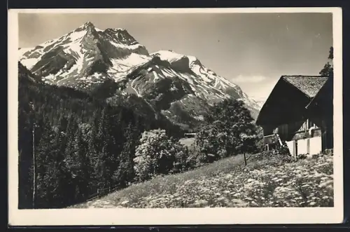 AK Oldenhorn, Berghaus mit Blumenwiese