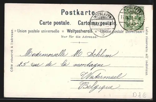 Künstler-AK C. Steinmann: Spiez am Thunersee / Berner Oberland, Ortsansicht
