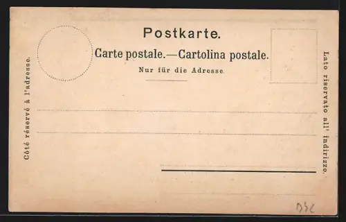 Lithographie Lausanne, Vue Panoramique