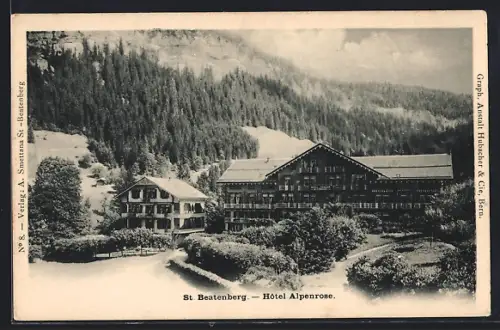 AK St. Beatenberg, Hotel Alpenrose im Schnee