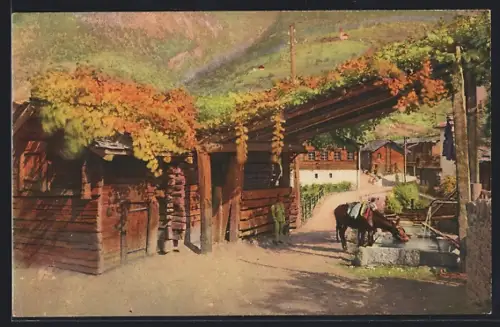 AK Stalden /VS, Pferd am Dorfbrunnen