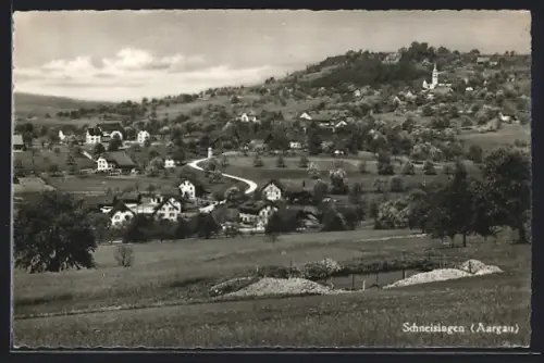 AK Schneisingen /Aargau, Teilansicht mit Strassenpartie