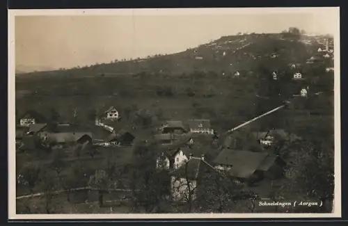 AK Schneisingen /Aargau, Teilansicht mit Strassenpartie