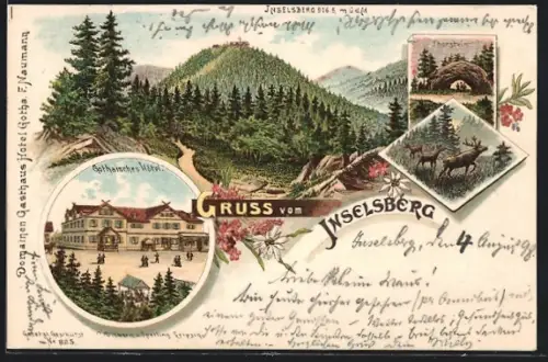Lithographie Inselsberg, Gothaisches Hotel, Fernansicht des Berges