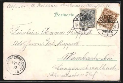 Lithographie Rüdesheim /Rhein, National-Denkmal, Rheinstein, Schweizerhaus