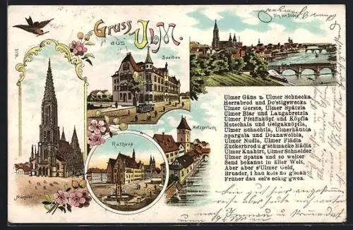 Lithographie Ulm / Donau, Münster, Saalbau, Metzgerturm