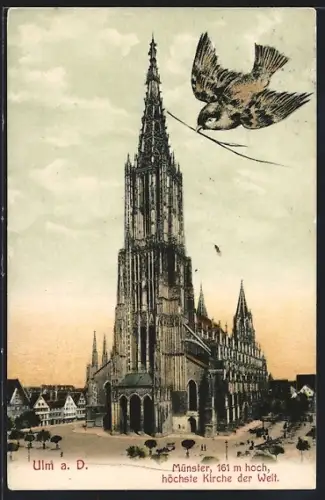 AK Ulm a. D., Münster, höchste Kirche der Welt, Spatz