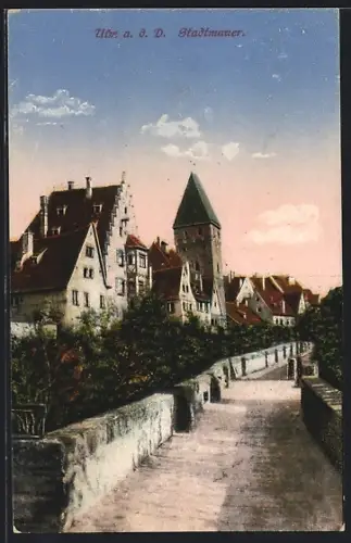 AK Ulm a. d. D., Stadtmauer