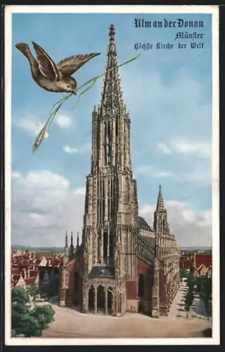 AK Ulm an der Donau, Münster, Spatz