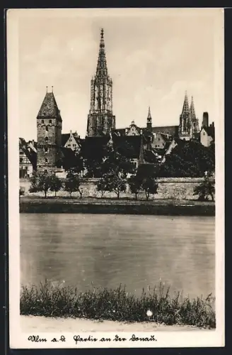 AK Ulm a. D., Partie an der Donau, Münster