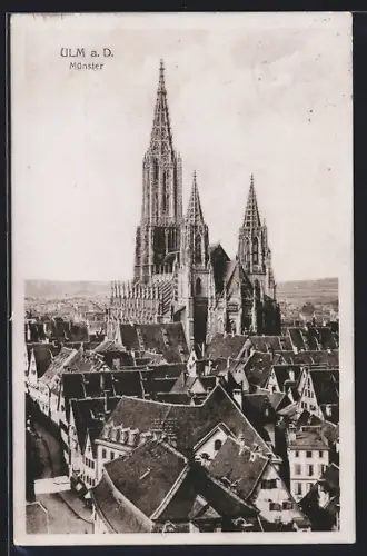 AK Ulm a. D., Münster