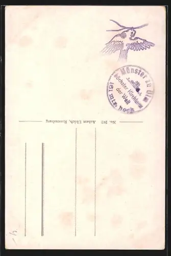 AK Ulm a. Donau, Münster