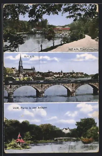 AK Ulm a. D., Friedrichsau-See, Münster, Partie in den Anlagen