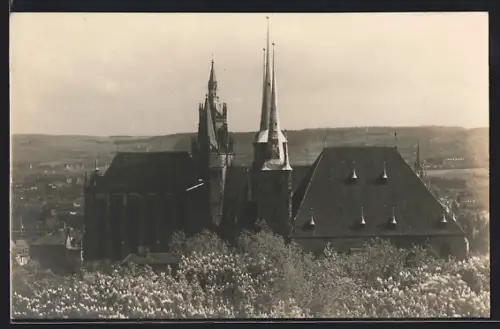 AK Erfurt, Dom und St. Severi