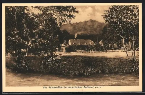AK Ballenstedt /Harz, Gasthaus Selkemühle, Inh. Fr. Böcker