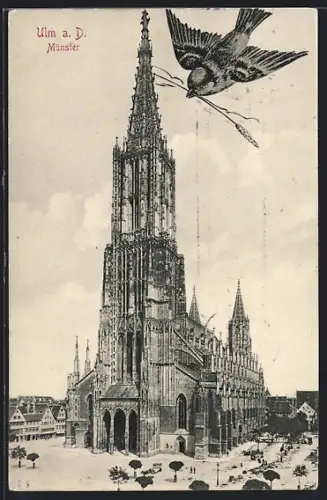 AK Ulm a. D., Münster, Ulmer Spatz