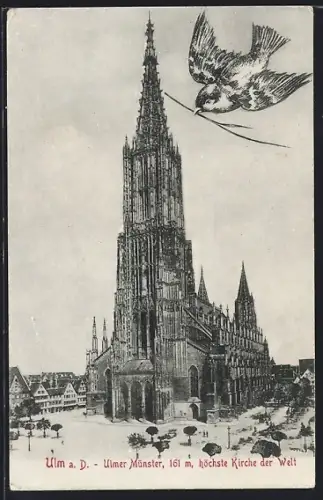 AK Ulm a. D., Ulmer Münster mit Spatz