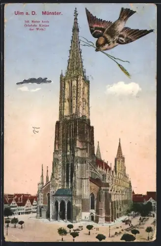 AK Ulm a. D., Münster und Spatz