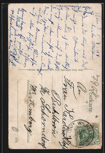 AK Ulm a. D., Münster und Spatz