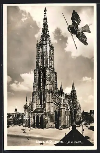 AK Ulm a. d. Donau, Münster, Fliegender Spatz
